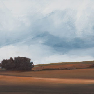 Wild Sky