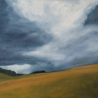 Wild Sky 2