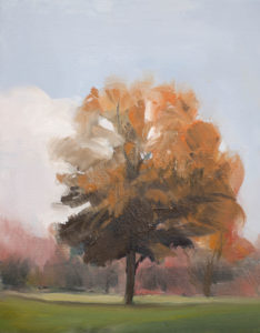 Tree Portrait 8