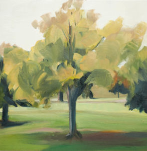 Tree Portrait 3