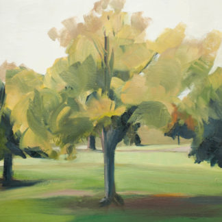 Tree Portrait 3