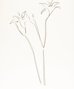 Plant 94