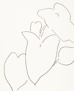 Plant 6