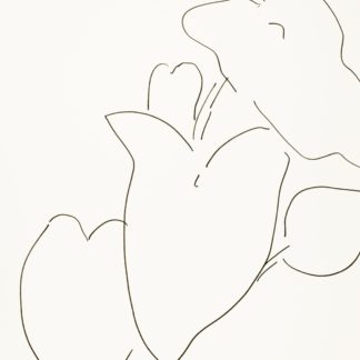 Plant 6