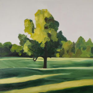 Georgia Tree, Morning