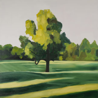 Georgia Tree, Morning