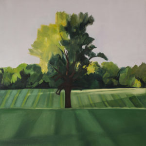 Georgia Tree, Dusk