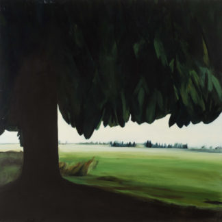Garden in Luca, Big Tree