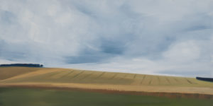 Edge of the Field