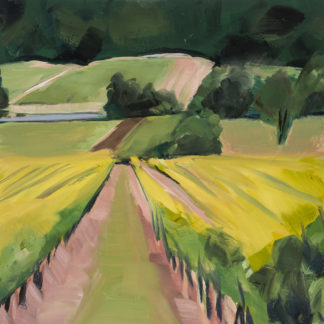 Burgundy Vineyard  4