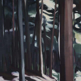 Adirondacks, Bent Tree