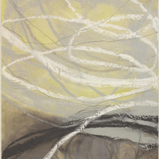 Near Collision I
