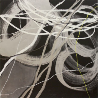 Silver Storm 1