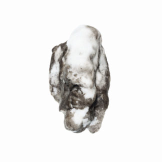 Driven Snow 1469