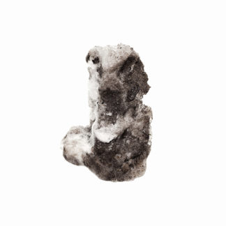 Driven Snow 1385