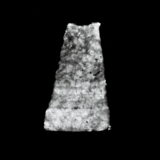 Absent Vessel 5662B
