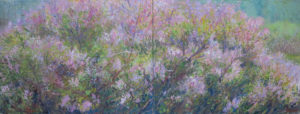 Lilac Spring