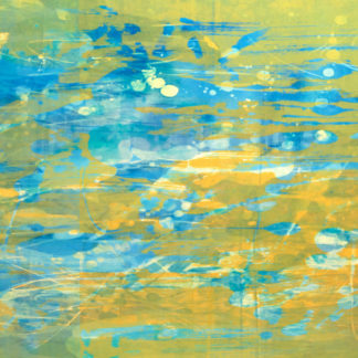 Sunlight Pond