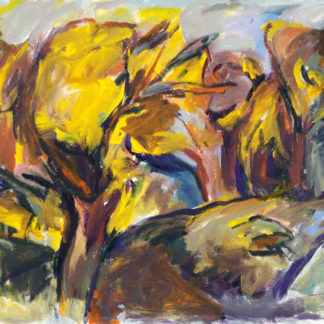 Autumn Woods