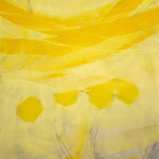 Light Waves