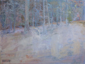 Mist in the Woods