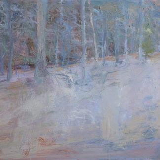 Mist in the Woods