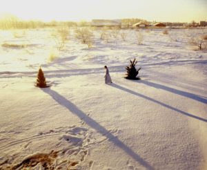 The Snow Walk, Home Stills