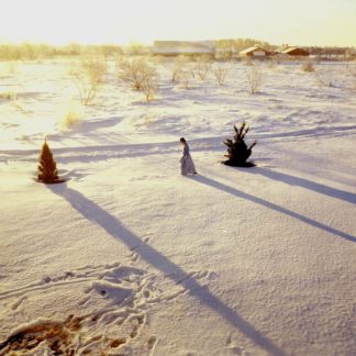 The Snow Walk, Home Stills