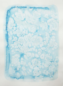 Untitled 1