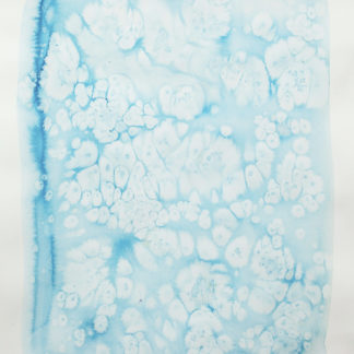 Untitled 1