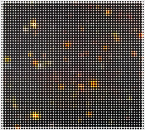 Stars