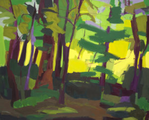 A Recollection of Light
