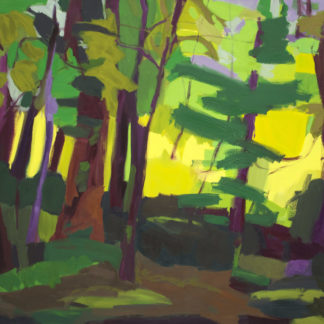 A Recollection of Light