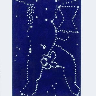 Constellation Minotaur