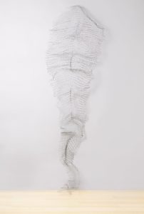Venation