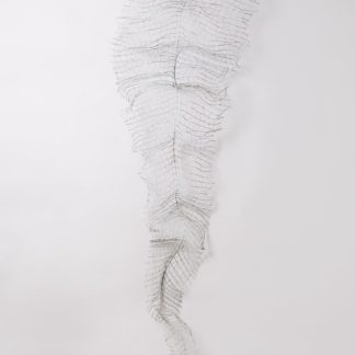 Venation