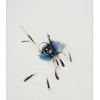 Untitled 031