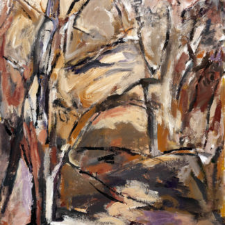 Mountain Path