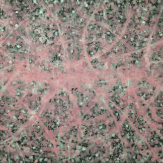 Winter Cherry Blossoms