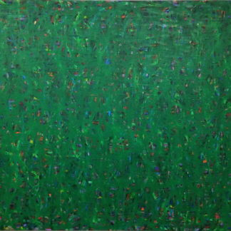 Sogen 5 Meadow