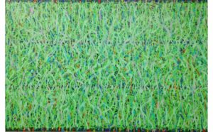 Sogen 3 Meadow