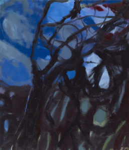 Night Sky with Branches II