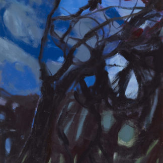 Night Sky with Branches II