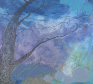 Night Sky with Branches