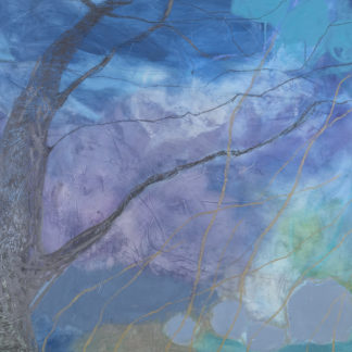 Night Sky with Branches