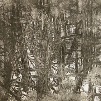 Woods  11
