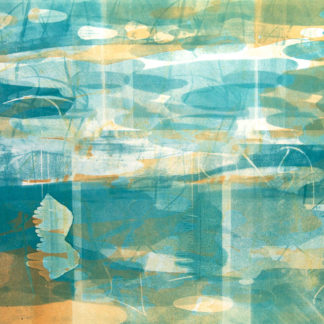 Tidal Pool XV: New Series