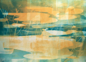 Tidal Pool XIX