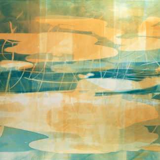 Tidal Pool XIX