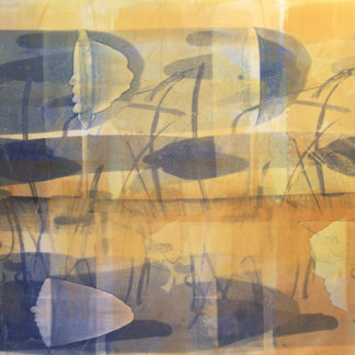 Tidal Pool VII